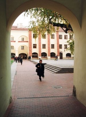 Numatoma meno objekto ar kompozicijos vieta – arkinių vartų jungiančių Bibliotekos ir Sarbievijaus kiemelius architektūrinė erdvė.