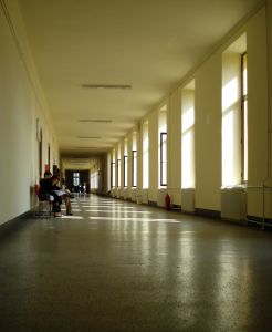 Vilniaus universitetas siekia, kad studijų kokybė atitiktų tarptautinį lygmenį. www.sxc.hu nuotr.