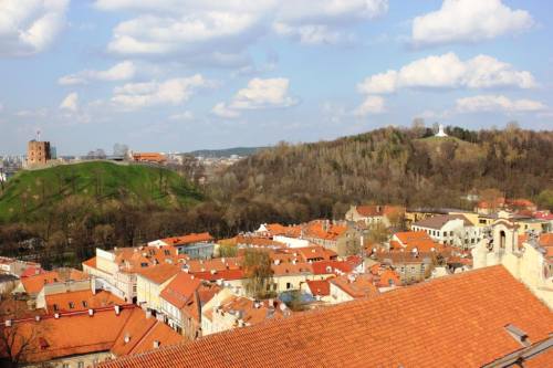 Gedimino ir Trijų kryžių kalvos žiūrint iš 45 metrų aukštyje esančios apžvalgos aikštelės. Justinos Ilkevičiūtės nuotr.