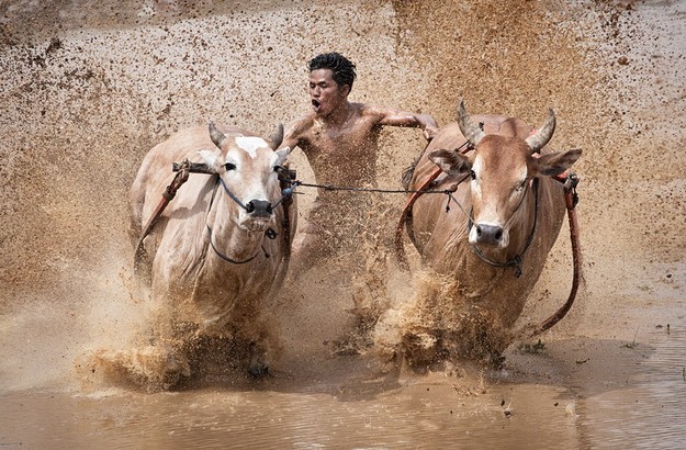 Parodoje išvysite geriausius tarptautinio fotografijų konkurso “Humanity photo awards” dalyvių darbus.Exposure-magz.com nuotr.