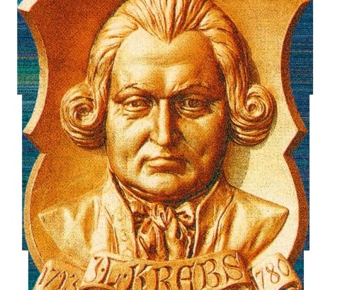 Johann_Ludwig_Krebs1_2