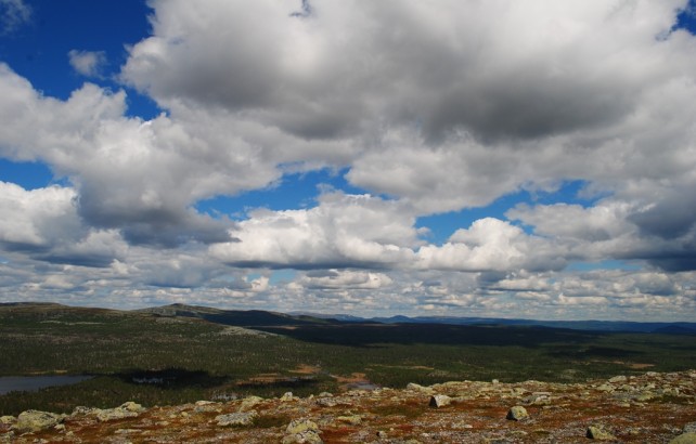 Geologinio kartografavimo praktika Centrineje Svedijoje